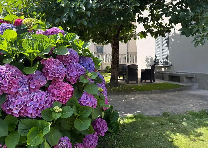 La Casa Di Adele Tirano